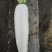 白萝卜1~1.5斤起