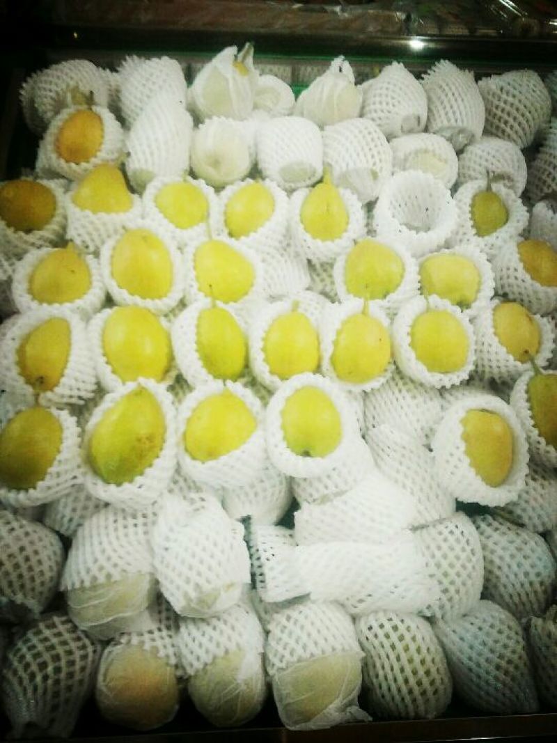 库尔勒香梨150~200g55mm母