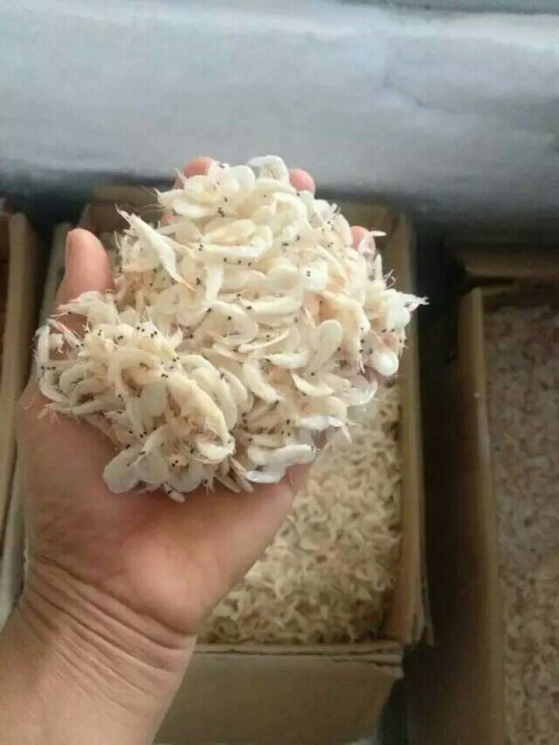 虾皮特级