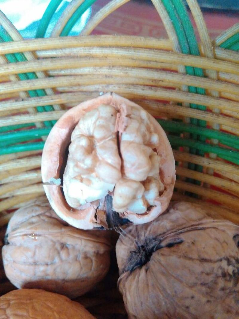 薄皮核桃30mm以上去皮