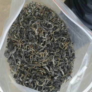 本山茶二级