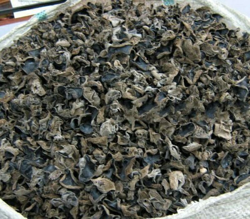 干木耳一级
