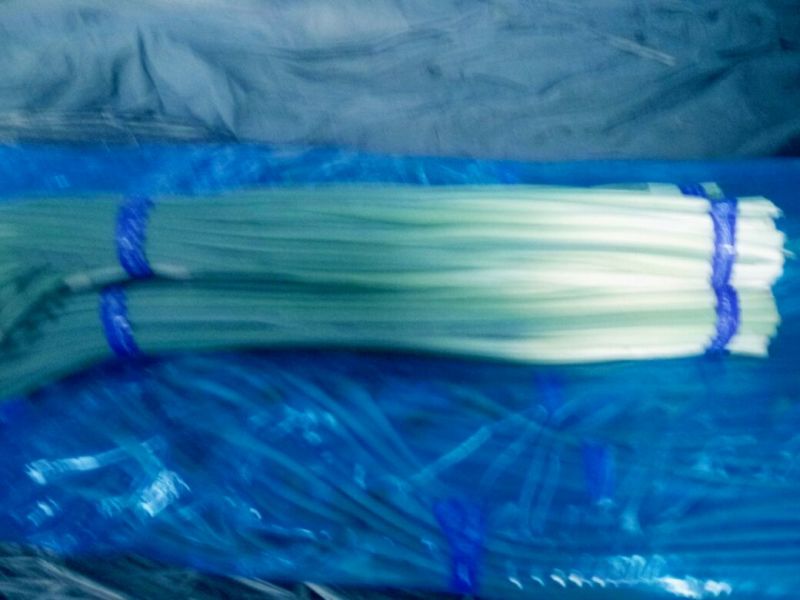 蒜薹30~40厘米
