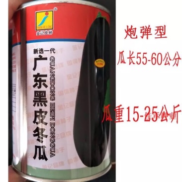 冬瓜种子
