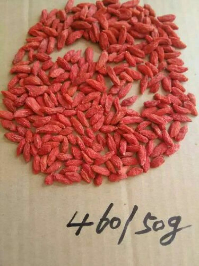 红枸杞干货头茬