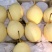 白梨500~550g纸加膜