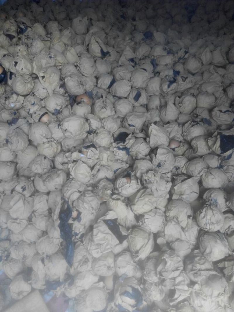 晚秋黄梨200~250g纸加膜