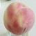 红不软桃树苗80cm以上