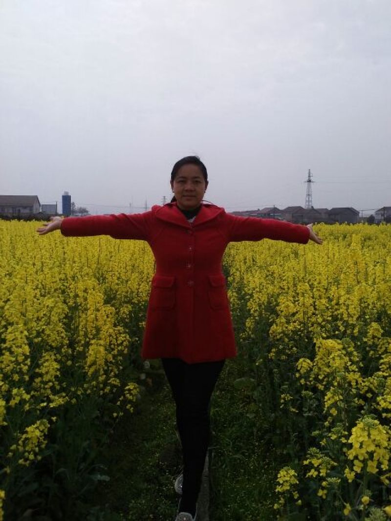 菜油一级