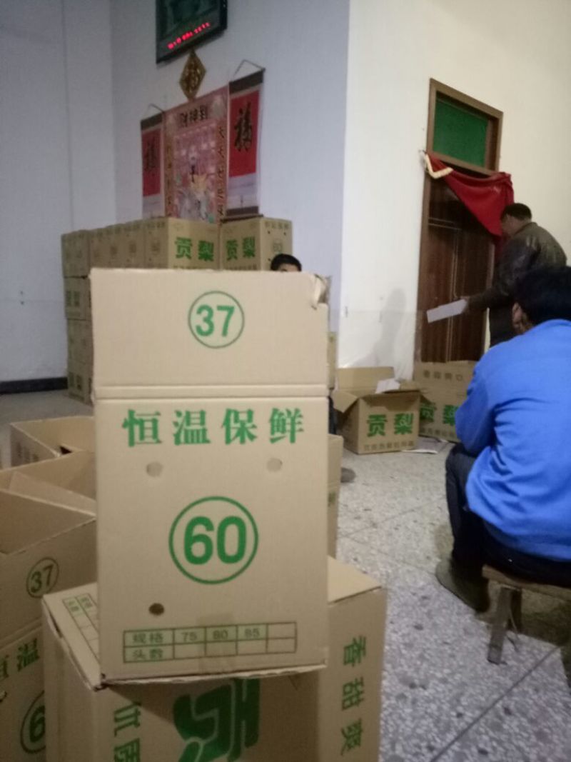贡梨250~300g纸袋