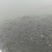 鲤鱼0.5~1公斤食用