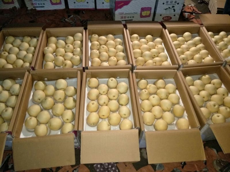 皇冠梨250~300g纸袋