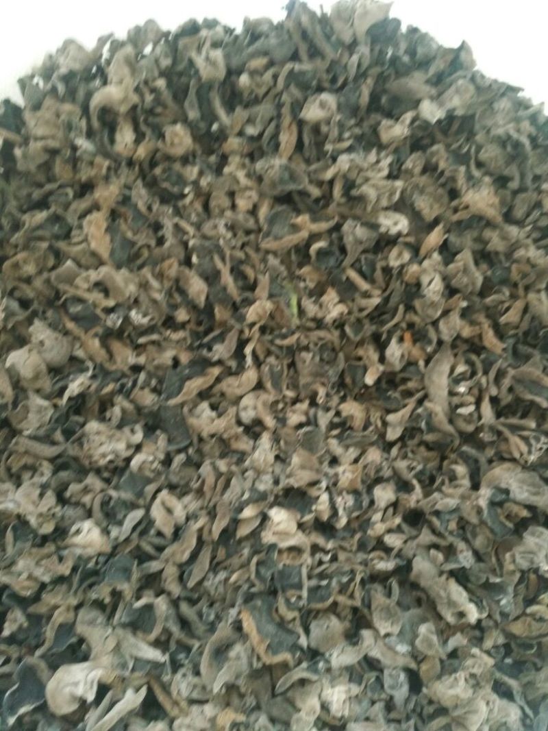 干木耳一级