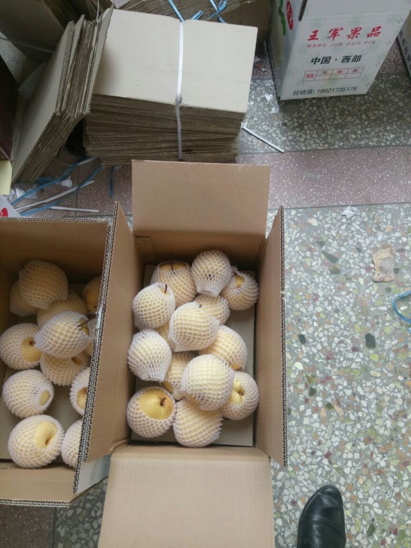 贡梨250~300g纸箱