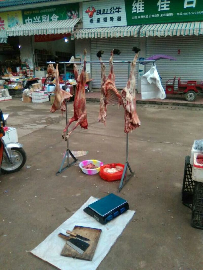 羊肉山羊肉否