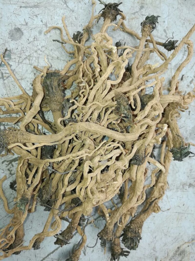 板蓝根统个