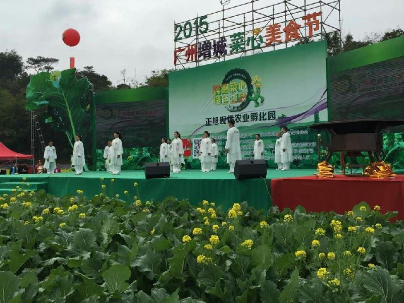 菜苔