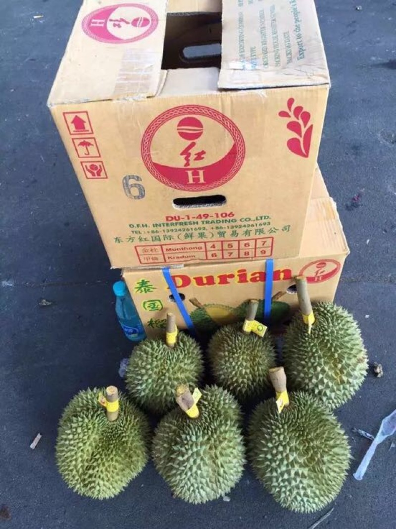 泰国榴莲5~8斤