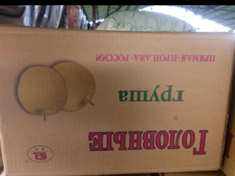 皇冠梨300~350g纸箱