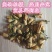 玳玳花