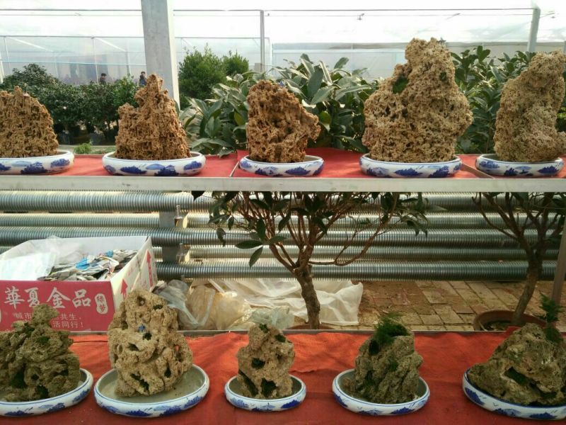 上水石造型漂亮质量保证规格齐全价格合理发货及时