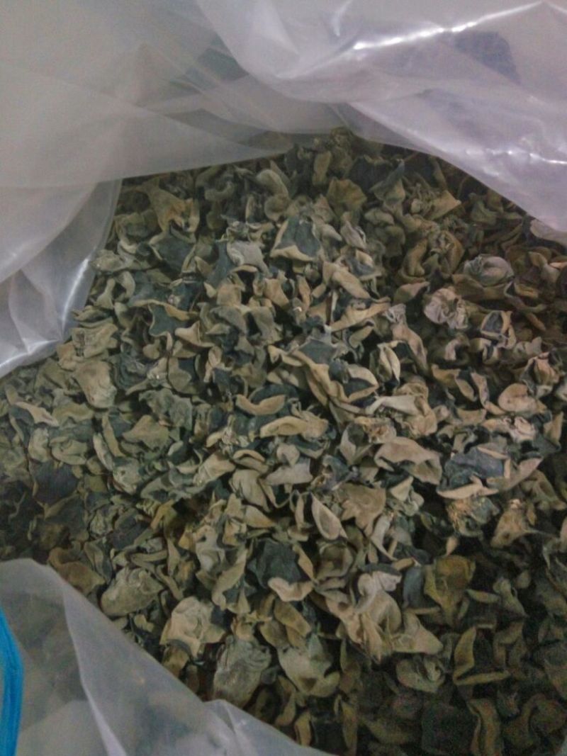 黑木耳一级