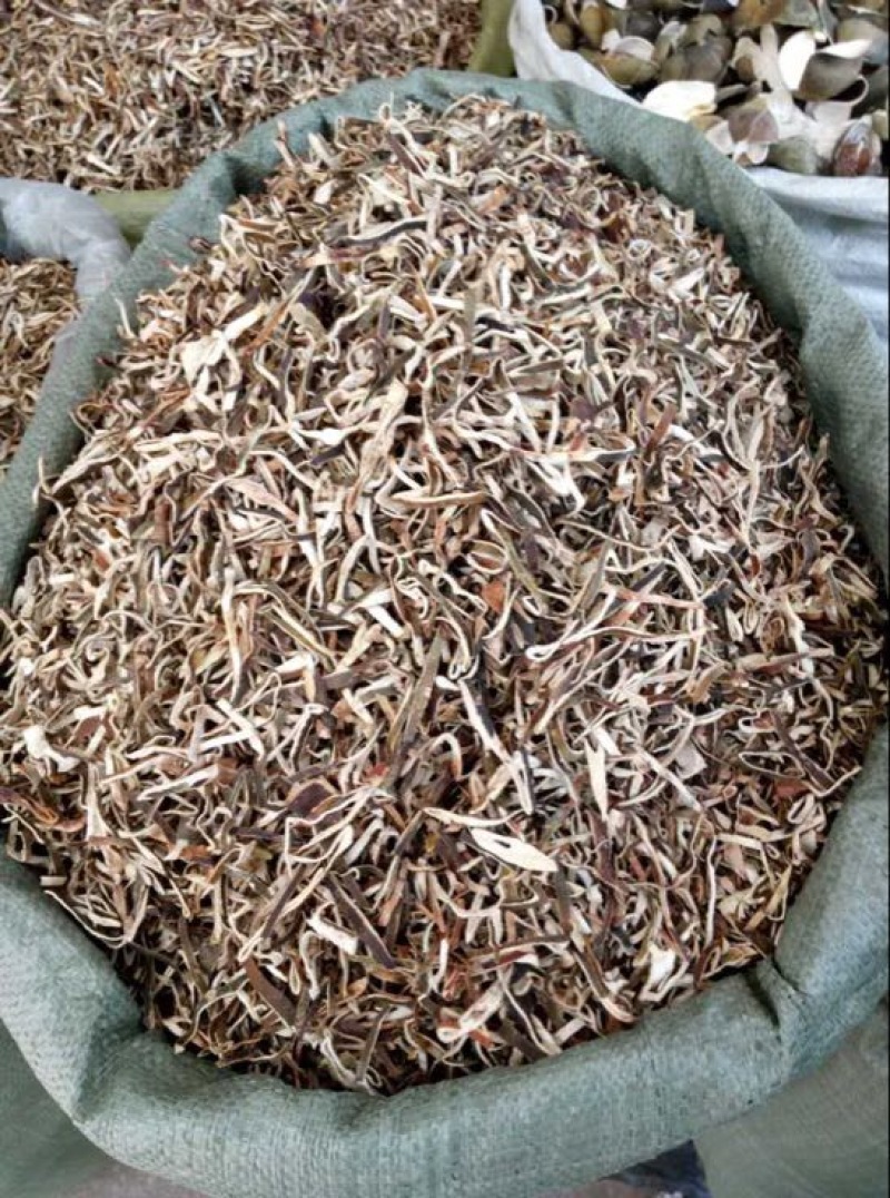 青皮青皮统丝