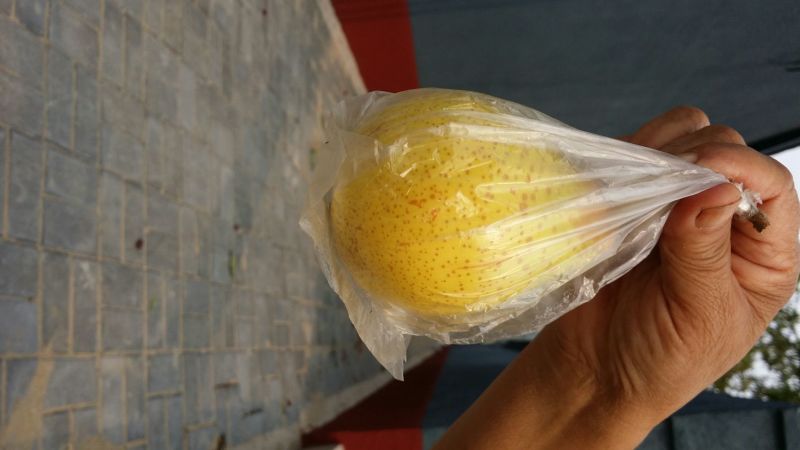 鸭梨200~250g膜袋