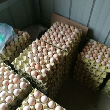 土鸡蛋食用50g以下