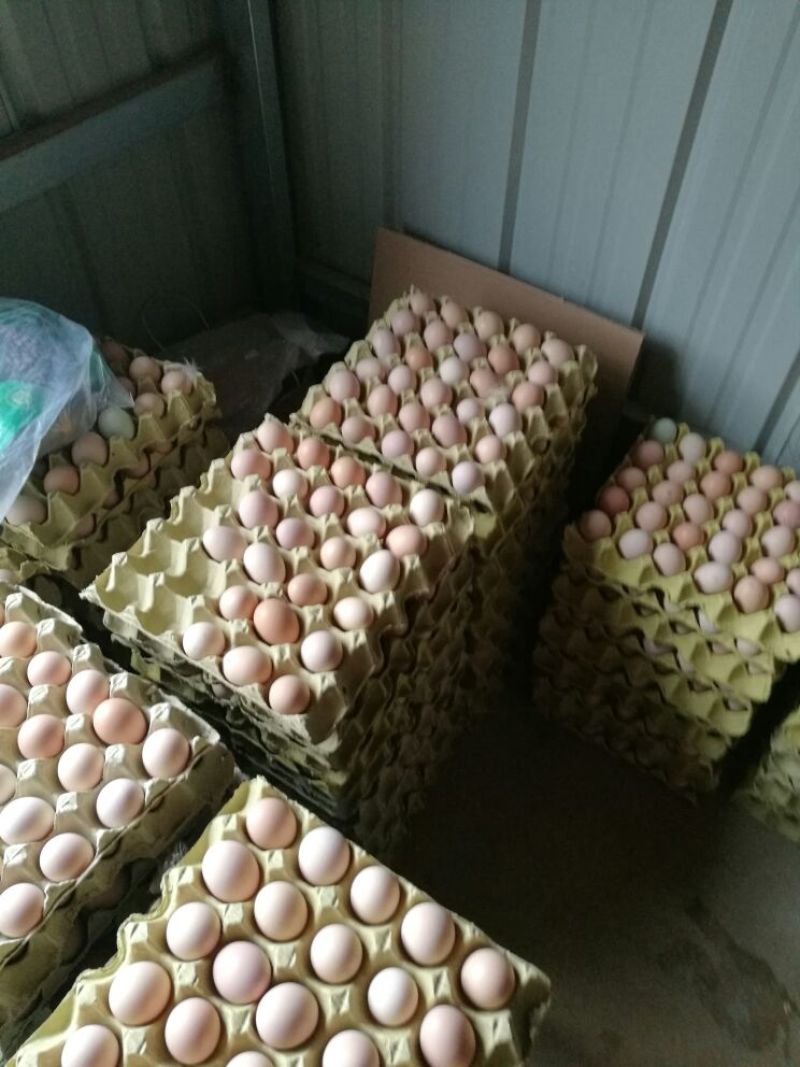 土鸡蛋食用50g以下