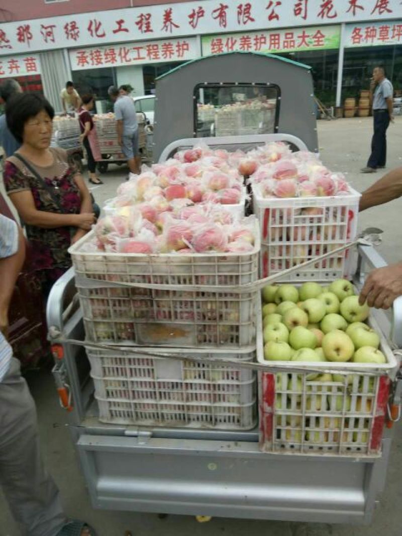 苹果，美八苹果，膜袋，货源充足保证质量，一手货源。