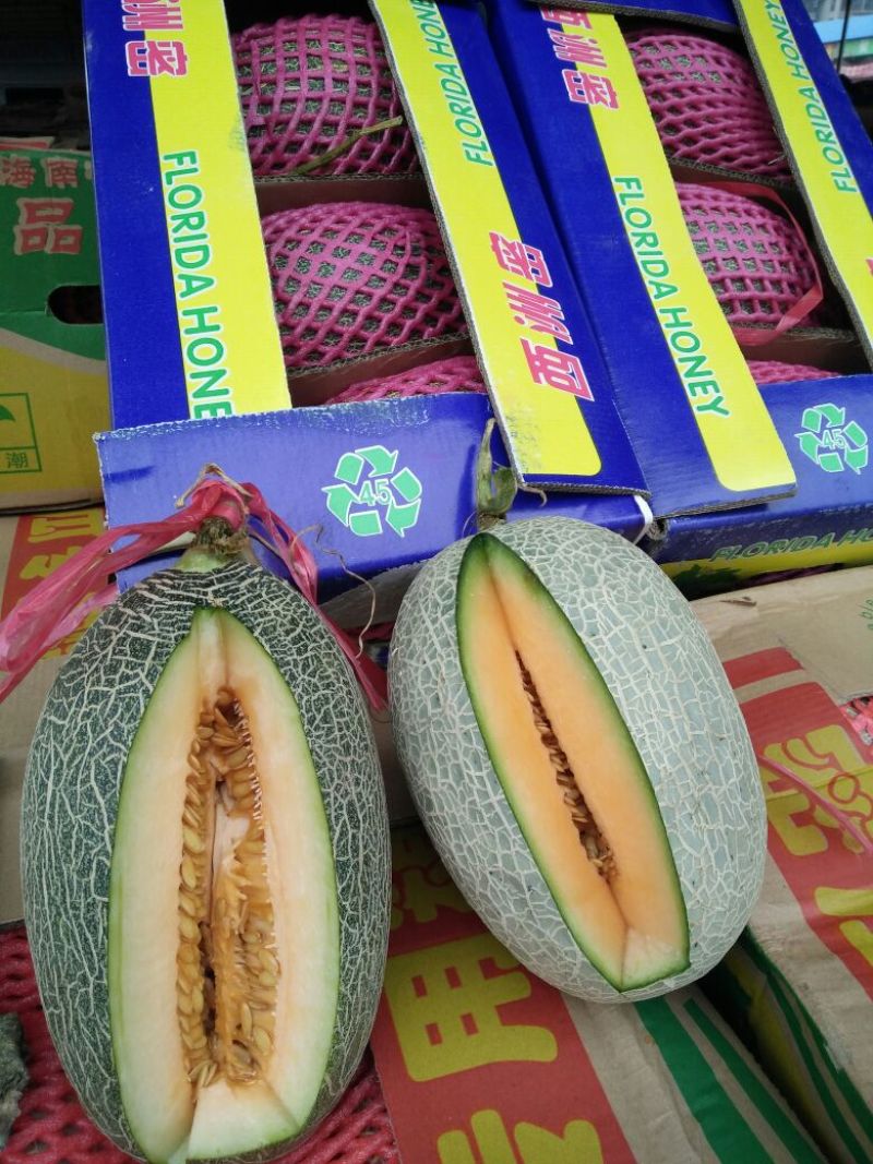 网纹瓜2斤以上椭圆形