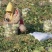 罐萝卜1.5~2斤起