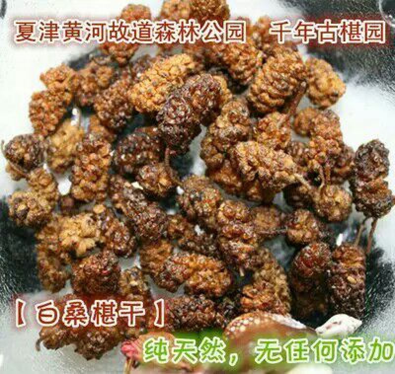 桑葚干