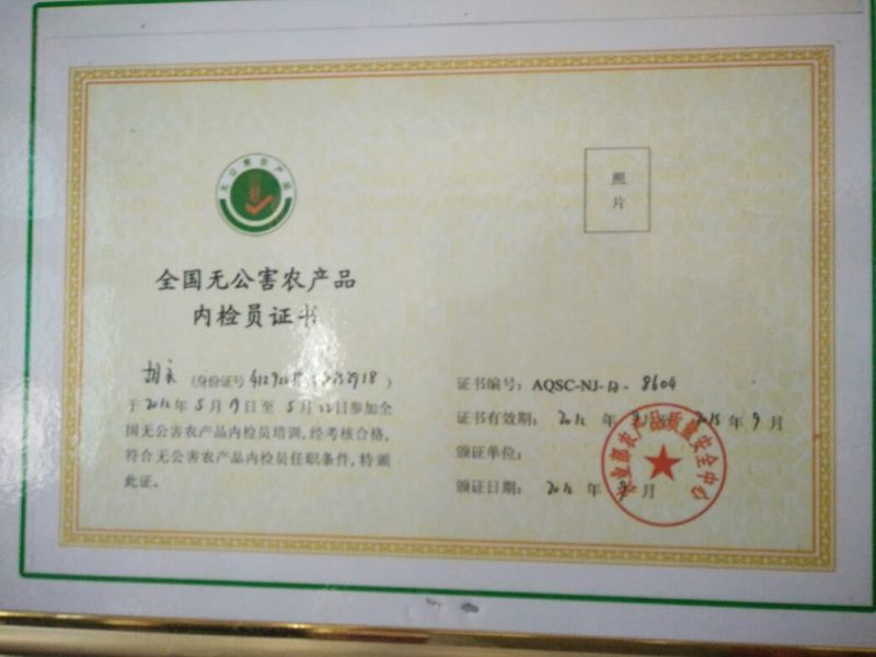 黄金梨200~250g纸袋