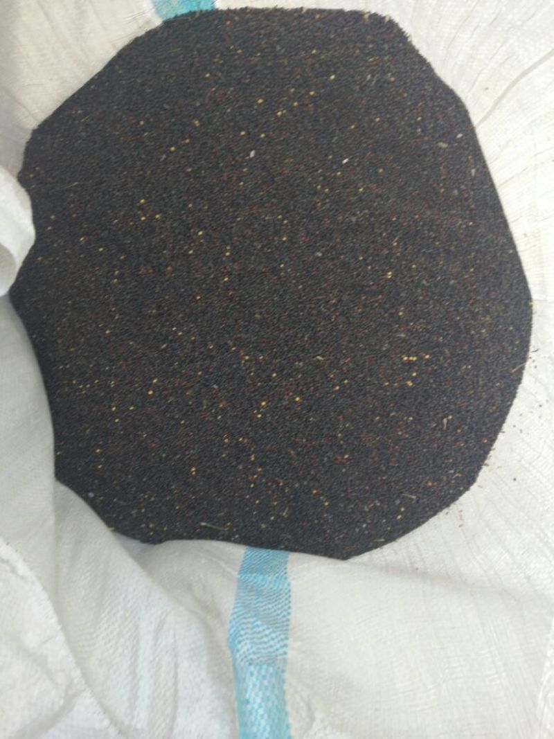 利油501-优质油菜籽