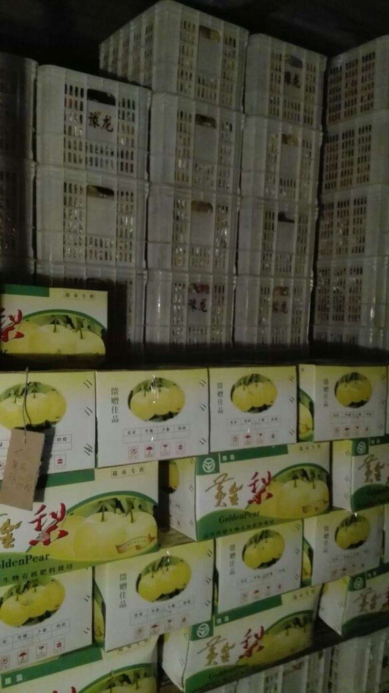 黄金梨350~400g纸袋