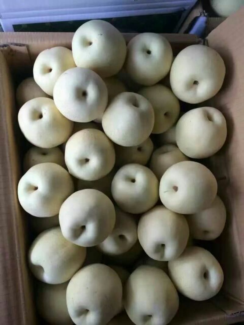 皇冠梨纸箱