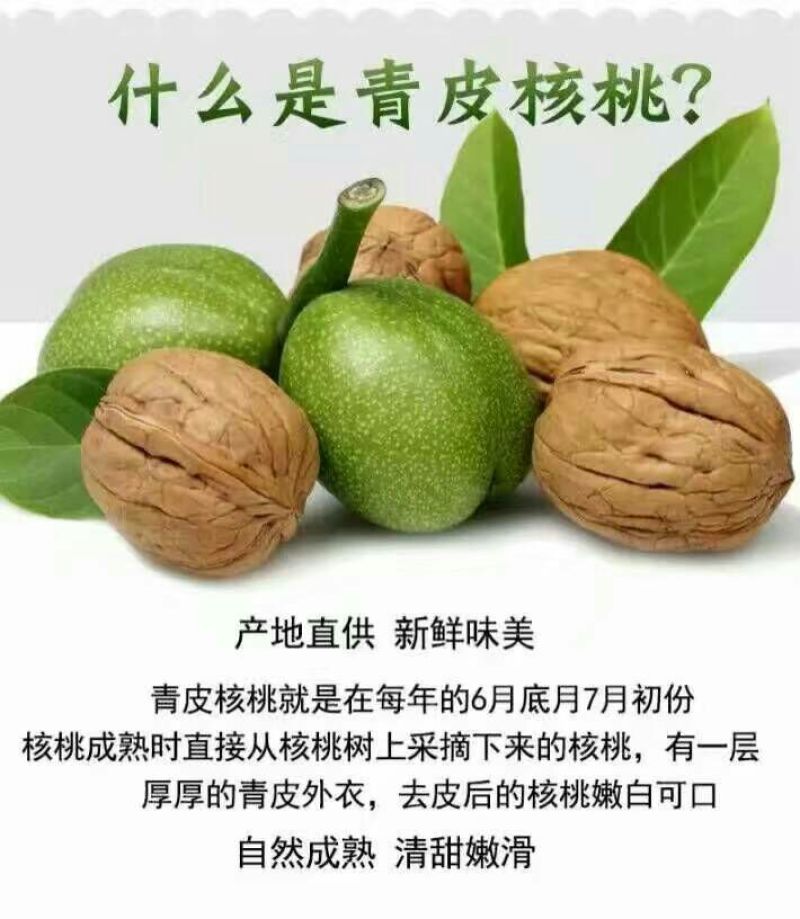 青皮核桃青皮