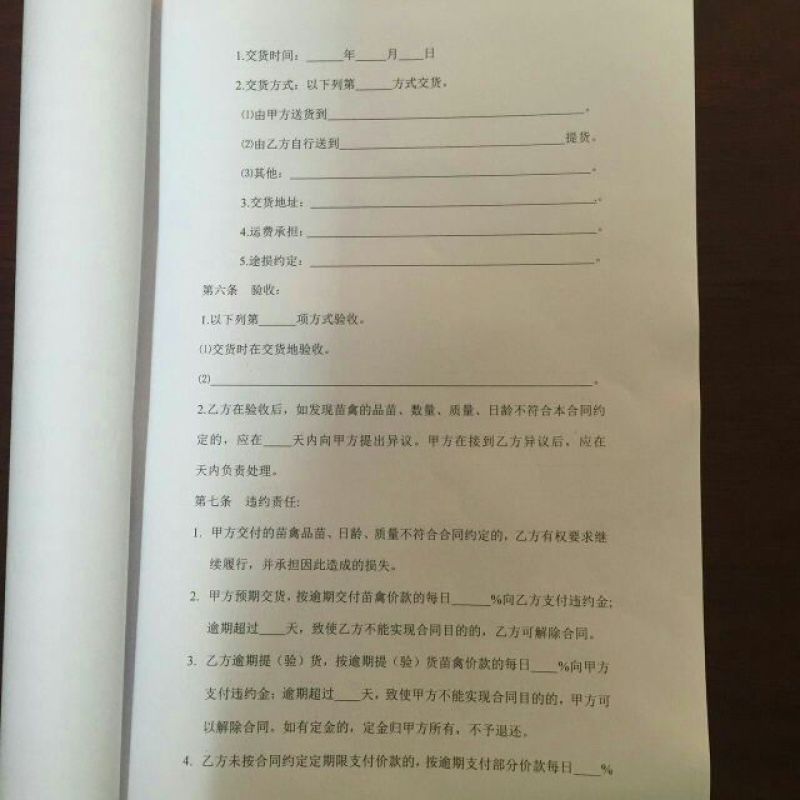 扬州大白鹅苗250g以下