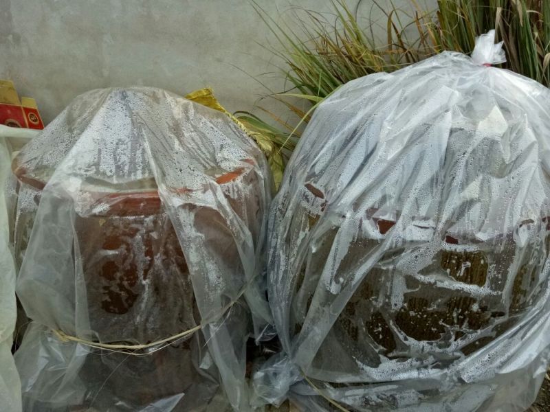 酸菜盐水浸泡散装