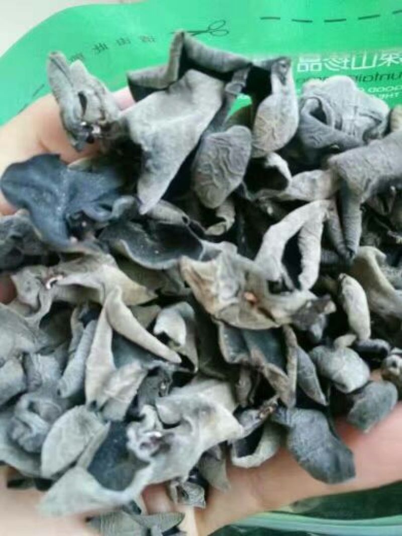 秋耳一级