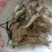 河虾活虾21~25只/kg