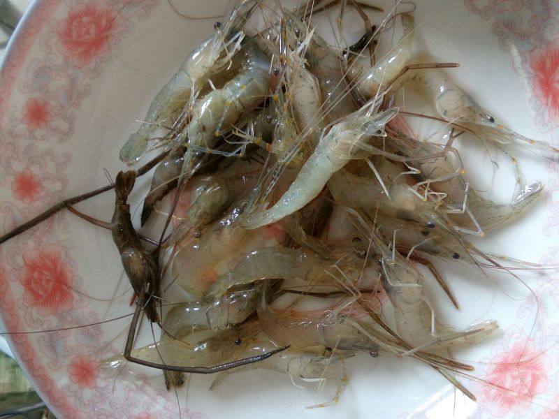 河虾活虾21~25只/kg