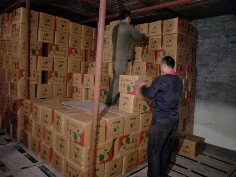 皇冠梨250~300g纸袋