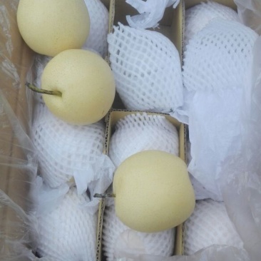皇冠梨60~100g纸袋