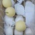 皇冠梨60~100g纸袋
