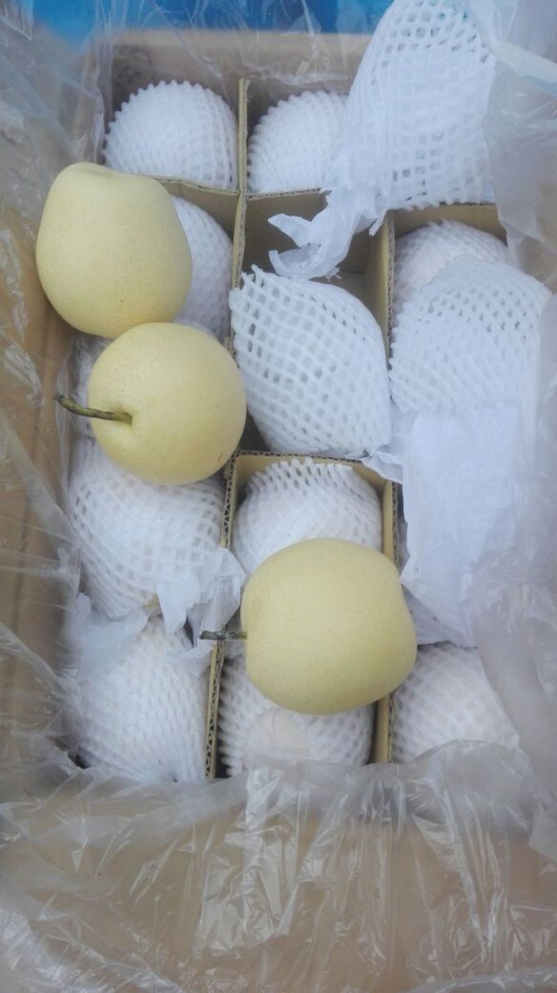 皇冠梨60~100g纸袋