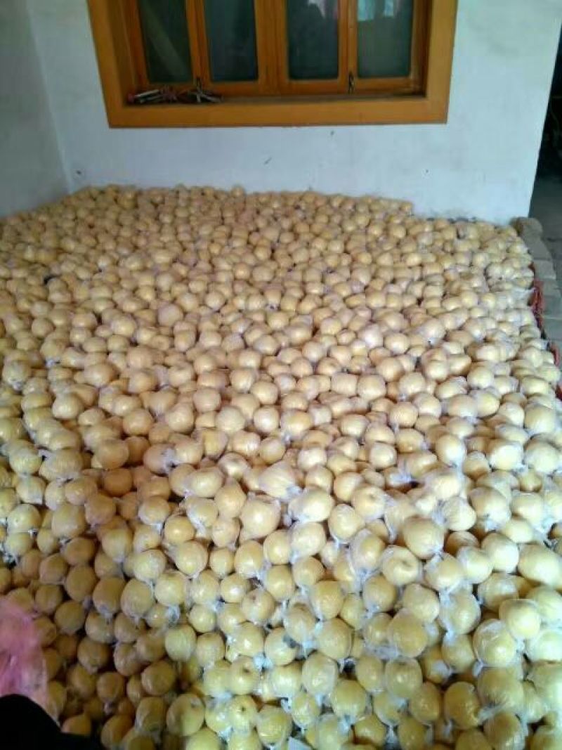 酥梨150~200g纸加膜