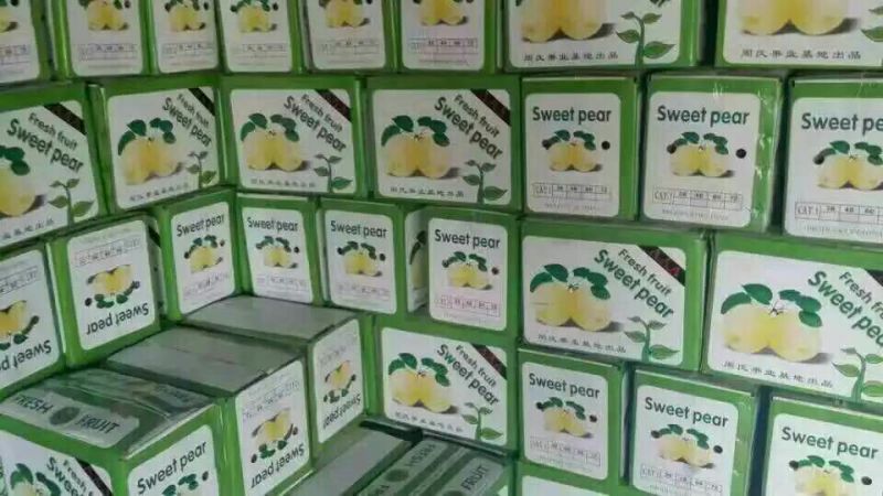 长把梨200~250g纸袋